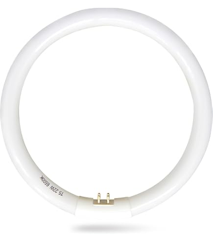 Four-Bros Lighting FC8T5/CW, 22 Watt, T5 Circline Fluorescent Tube